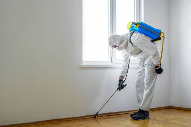 Best Residential Pest Control  in St Cloud, FL